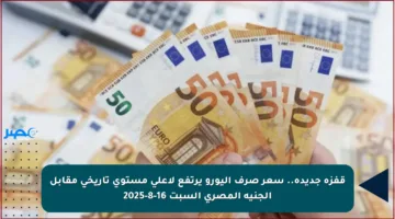 قفزة جديدة.. سعر صرف اليورو يرتفع لأعلى مستوى تاريخي مقابل الجنيه المصري السبت 16-8-2025